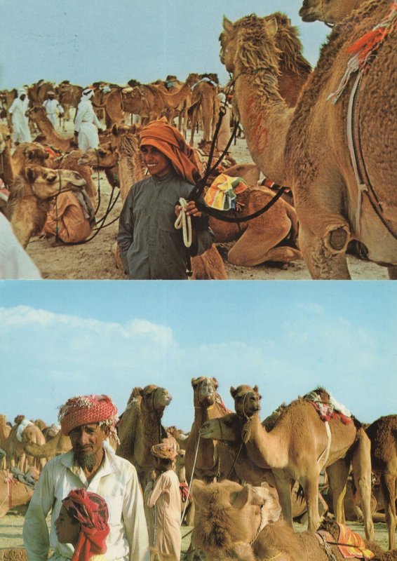 Dubai Old Man Boy & Camels 2x Postcard s