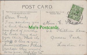 Genealogy Postcard - Forsdike - 62 Kilburn Lane, Queens Park, London RF7221