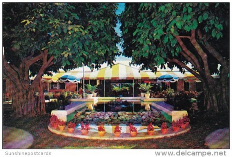 Florida Fort Lauderdale Terrace Patio Restaurant 1956