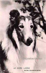 Lassie, Le Chien Movie Star Actor Actress Film Star Unused 