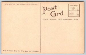 Oakland California~Schillings Gardens~Rustic Bridge~c1910 Postcard