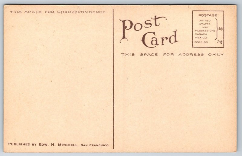 Oakland California~Schillings Gardens~Rustic Bridge~c1910 Postcard