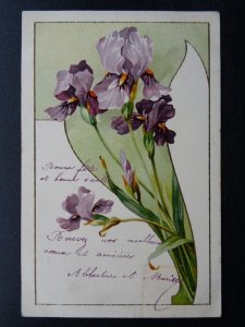 France Greeting BONNE FÊTE Iris Plant & Flower 1905 Postcard