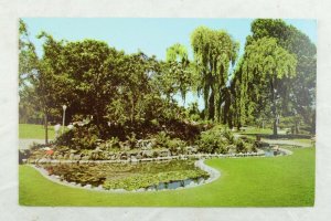 Rock Gardens in City Park, Anaheim, Cal. Vintage Postcard P106 