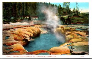 Yellowstone National Park Oblong Geyser Crater