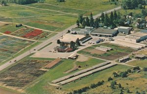 Aerial View Harris Seeds Moreton Farm, Rochester, New York