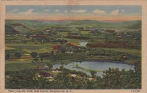 New York Binghamton View From Ely Park Golf Course 1953 Curteich