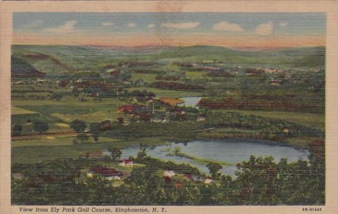 New York Binghamton View From Ely Park Golf Course 1953 Curteich