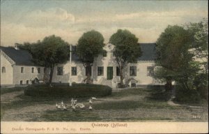 Jylland Danmark Denmark Qvistrup Court Yard Ducks c1910 Vintage Postcard