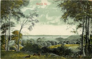 c1910 Vintage Postcard; Denmark, Skarrit Sø, unposted