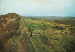 Northumberland Postcard - The Roman Wall at Housesteads Mile Castle RR10861   