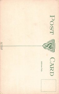 J84/ Albany New York Postcard c1910 Elks Lodge Building 161