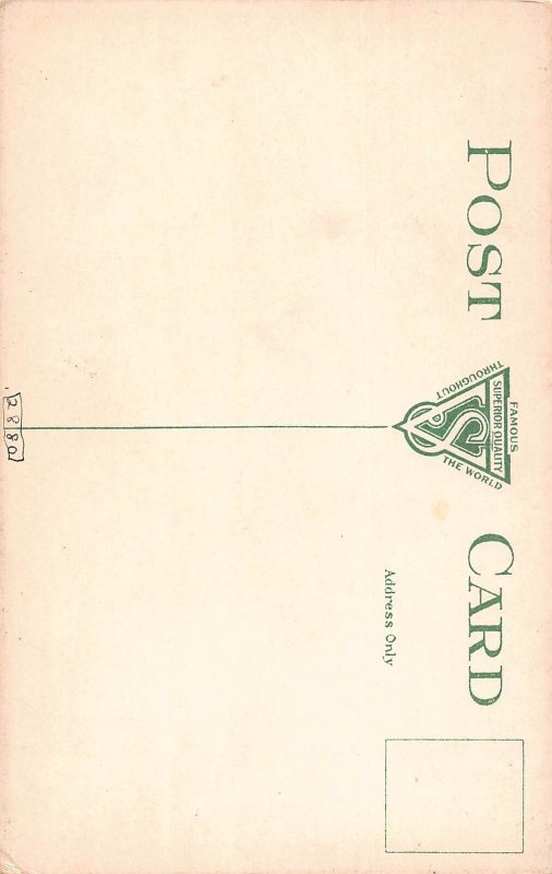 J84/ Albany New York Postcard c1910 Elks Lodge Building 161