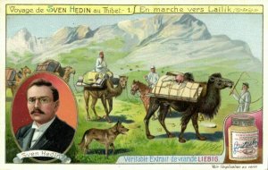 tibet thibet, Explorer Sven Hedin, Camel Caravan Laïlik (1908) Liebig Trade Card