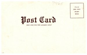 Drunk chased by  shadow I have nothing to lose