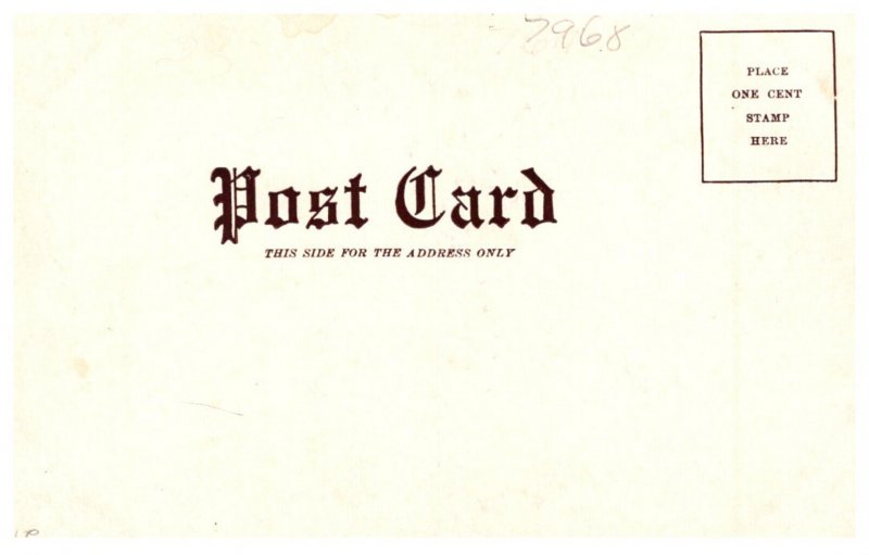 Drunk chased by  shadow I have nothing to lose