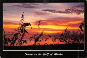 us7102 sunset on the golf of mexico usa