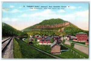 c1940's Cudjo's Cave The Pinnacle Cumberland Gap Tennessee TN Railroad Postcard