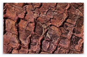 Craters Of The Moon National Monument Idaho Horizontal Tree Mold Postcard