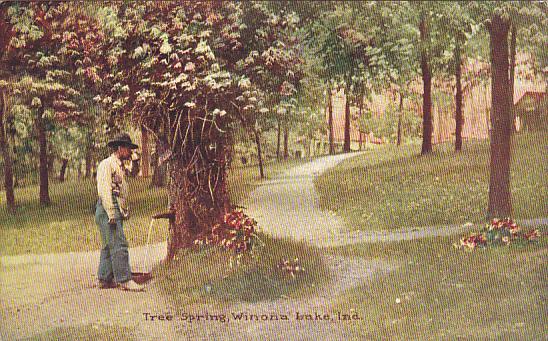 Indiana Winona Lake Tree Spring