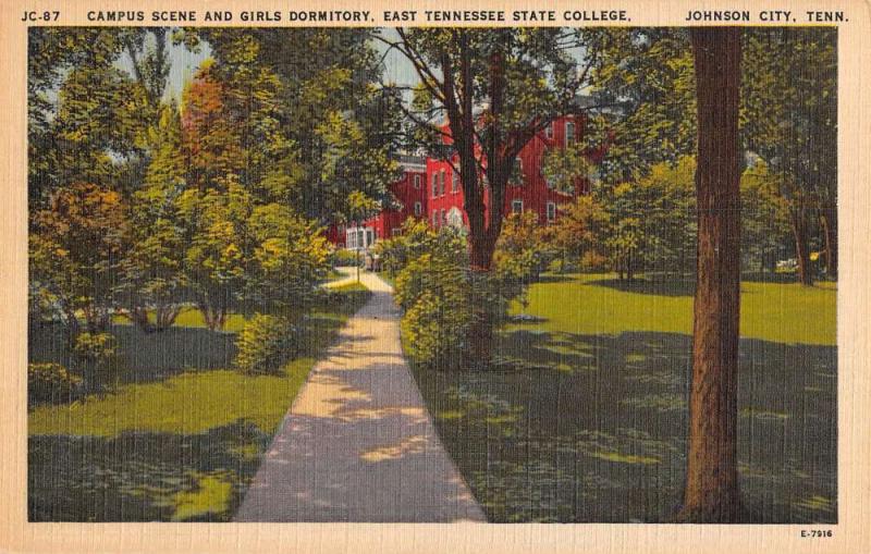 Johnson City Tennessee East State College Campus Scene Antique Postcard K100807