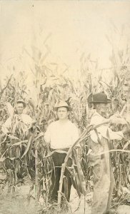 Postcard RPPC C-1910 Agriculture Farmers in tall corn 23-3756