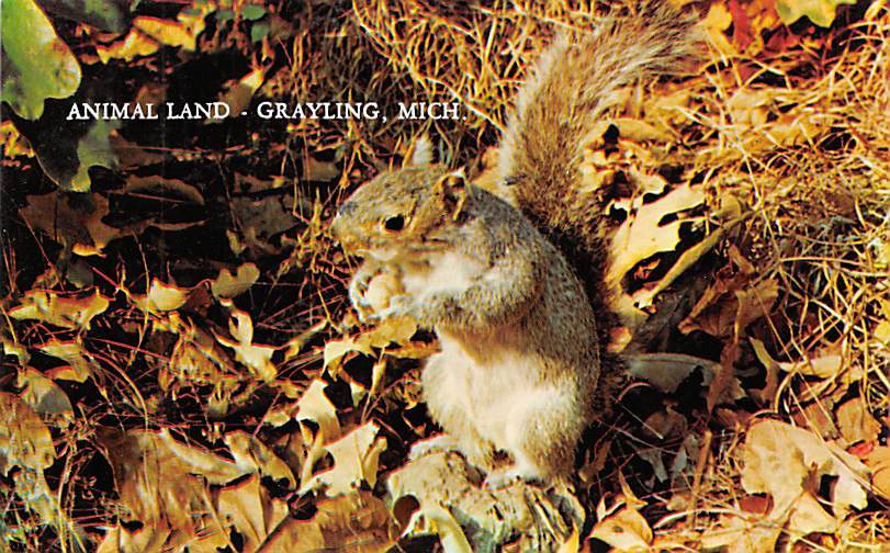 Animal Land Grayling, Michigan MI United States Michigan Other