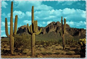 Superstition Mountains Mesa Arizona AZ Cactus Peaks Cloud Formation Postcard