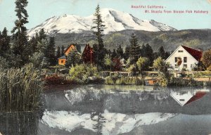 Mount Shasta from Sisson Fish Hatchery, California 1908 Vintage Postcard