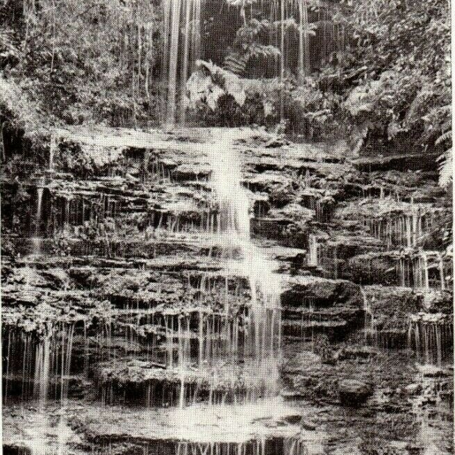 C.1910 Junction Falls, Lawson, Blue Mountains. Postcard P168