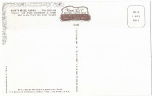 Papaya Trees Bear Fruit Year Around Hawaii