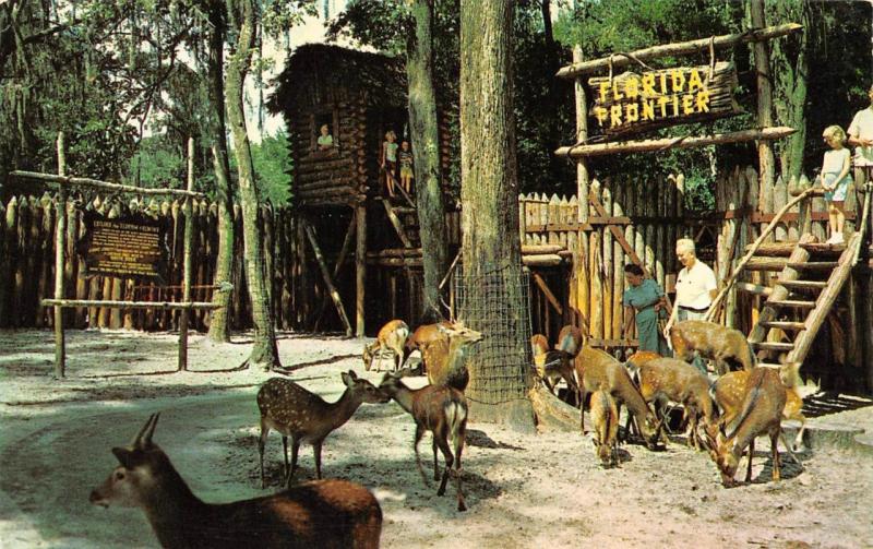 SILVER SPRINGS, FL Florida TOMMY BARTLETT'S DEER RANCH Petting Zoo~Kids Postcard