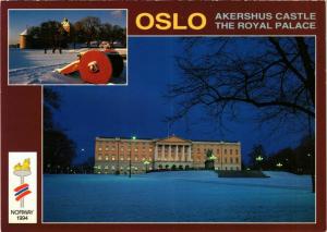 CPM AK Oslo The Royal Palace NORWAY (829965)