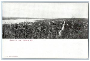 Hudson Wisconsin WI Postcard Bird's Eye View Of Residence Section c1905s Antique