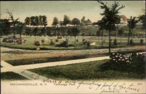 Mechanicville NY Tallmadge Park c1905 Postcard