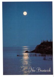 Large 5 X 7 Moonlite Fishing Weir, Campobello Island, New Brunswick