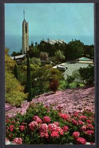 Flowers at Wayfarers Chapel,Portugese Bend,CA BIN