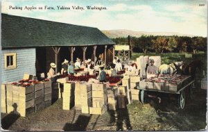 Packing Apples on Farm Yakima Valley Washington Vintage Postcard C096