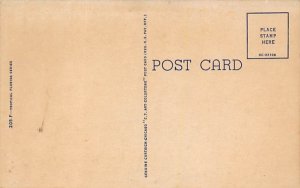 Orange and Palm Trees Misc, Florida