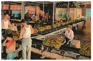 New Orleans Banana Port 1946 Vintage Linen Postcard #47242