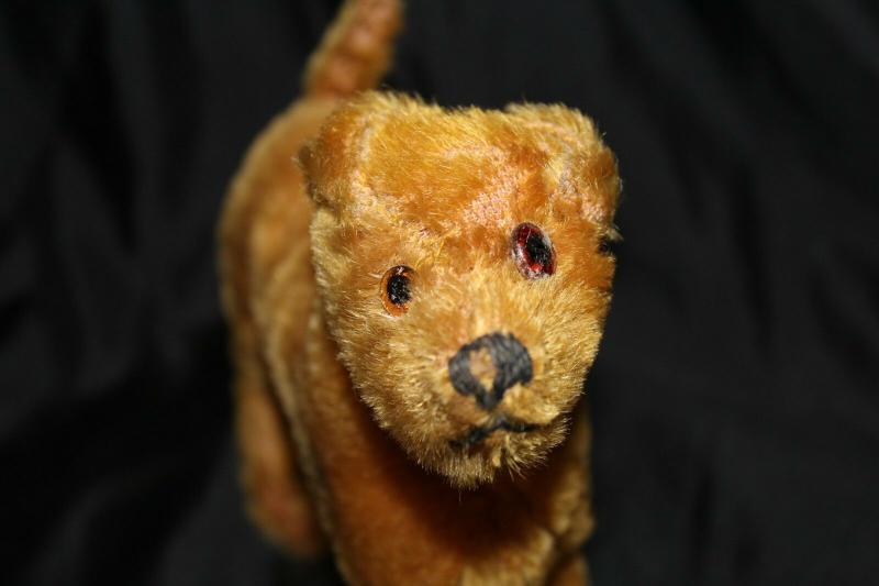 Antique Vintage Mohair Irish Terrier Gwen Steiff? Stuffed Toy Dog Missing Button