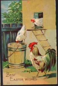 Best Easter Wishes Chickens and a Rooster Chicken Coop - Embossed - pm1910 - DB