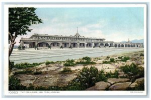 c1920s The Escalante Built In Impressive Style Ash Fork Arizona AZ Tree Postcard