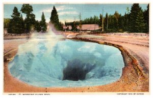 Wyoming  Yellowstone Park   Morning Glory Pool