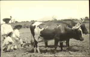 Mexico Farming Agriculture Oxen Plow Labrodores Arando Latierra RPPC