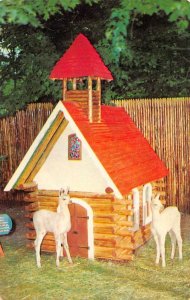 Catskill New York Catskill Game Farm, Baby Llamas & Little Red Chapel,Chrome PC
