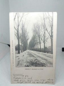 Hasselt Boulevard en Hiver Belgium  Vintage Early 1900s Winter Scene Postcard