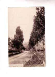 Real Photo, St Bernard's Ave, La Trappe Quebec, Quebec, Photo O Allard, AZO