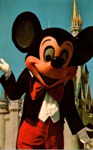 Florida Walt Disney World Mickey Mouse Welcome To Fantasyland