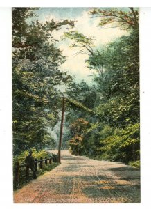 PA - Philadelphia. Wissahickon Drive Street Scene ca 1907